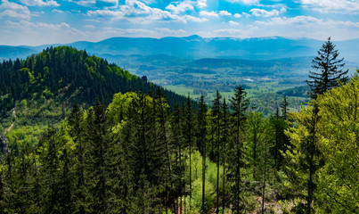 Polish mountains, Krkonoše, Sudetes. View from lookout point. Forest hill, cloudy sky. 