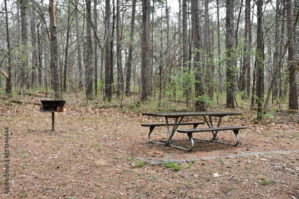 Poster picnic table and barbeque grill in a park