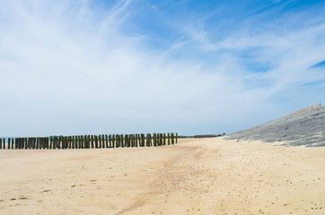 Muscheln und Steine im weißen Sand am Strand