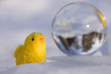 Easter chick and the glass ball