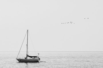 boat on the sea