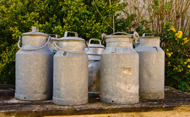 A group of ancient, meta  milk cans on a table, vintage