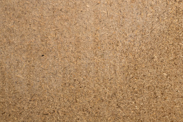 Dry dill seeds on a branch