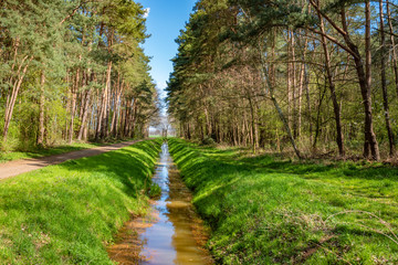 Obraz premium Frühling