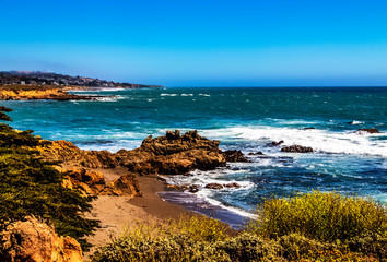 ocean, rocks, yellow flowers, horizon, sea, coast, beach, waves, California, landscape, seascape, cliff, sand