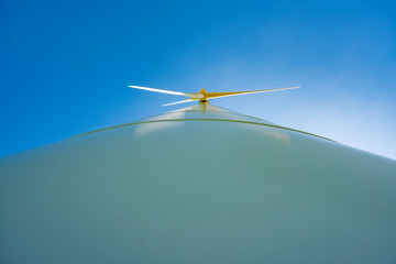 Frühling © Heiko