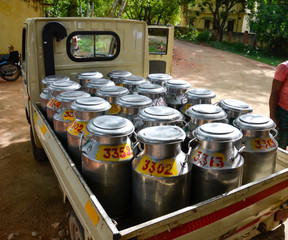 Individually numbered stainless steel milk cans filled with raw milk loaded in a mini truck in India