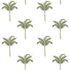 Fototapeta na wymiar Tropical vintage banana tree floral seamless pattern white background. Exotic jungle wallpaper.