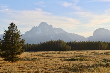 autumn landscape with mountains