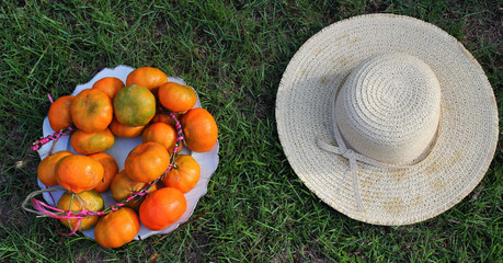 fresh tangerines on greenish grass next to a hat