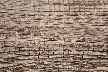 Textured wooden surface as background, closeup view