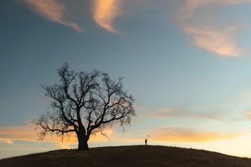 Gardinen Silhouette of bare tree and man on hill during sunset © Jeremy Bishop