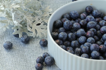fresh blueberries in a bowl