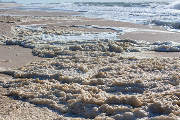 foam on the sea shore after the storm 