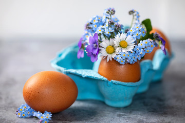 Spring flowers in eggshell, easter concept