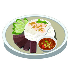 chicken rice , Thai gourmet steamed chicken with rice on a plate,vector food
