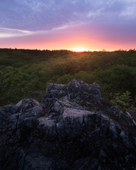 Purple sunset in a forest