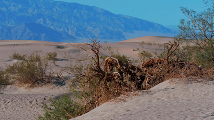 Sand Dunes at Death Valley National Park - Mesquite Flat Sand Dunes - USA 2017