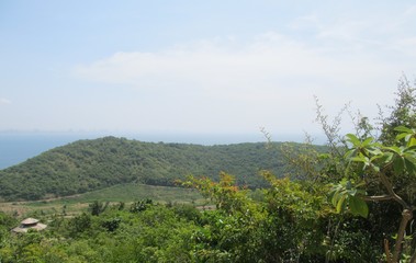 green field and blue sky