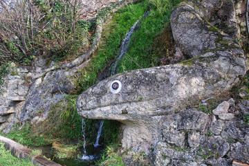 Source snake shape in park