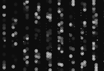 Light Black vector layout with bright snowflakes.