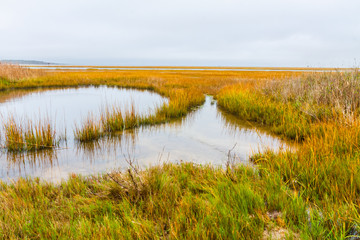 Open Salt Marsh in Reheboth Bay From Burton Island, Delaware Seashore State Park, Delaware, USA - obrazy, fototapety, plakaty