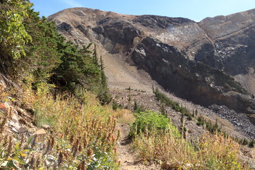 Mark Malu trail looking at American Fork Twin Peaks, Wasatch Range, Utah