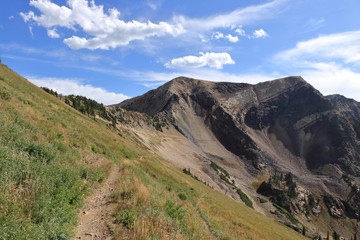Mark Malu trail crosses from alpine grasslands to barren slopes of the Wasatch Mountains