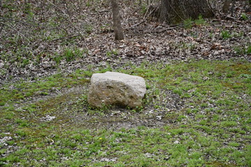 Lone Stone in the Woods
