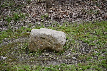 Lone Stone in the Woods