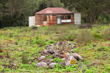 Remains of Lake Margaret Village Tasmania