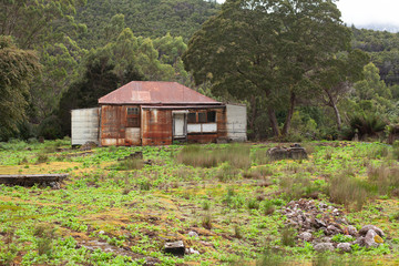 Remains of Lake Margaret Village Tasmania