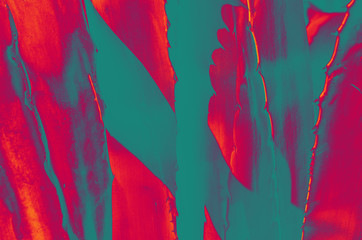 cactus in the tropics, pink and blue colors, summer