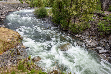 Majestic mountain river in Vancouver, Canada.