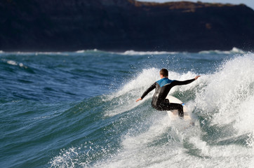 surfing the wave - obrazy, fototapety, plakaty