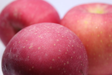 Fresh red apple from Indonesia 