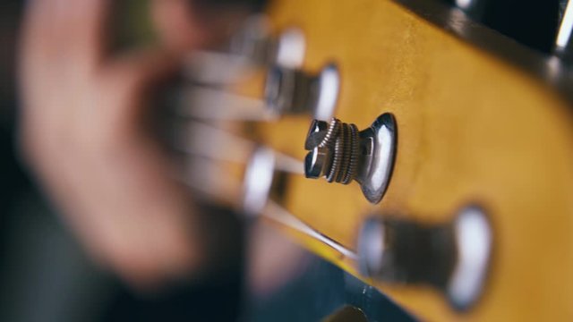 CU: professional musician plays bass guitar with silver tuning keys on brown headstock on foreground extreme close view