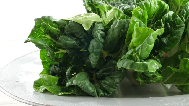 Green pok choy cabbage leaves. Rotate. Nobody