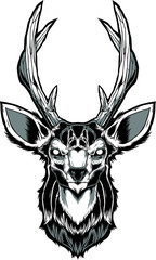 deer, animal, isolated, mammal, antlers, elk, wildlife, nature, white, head, antler, wild, antelope, reindeer, stag, horn, buck, horns, trophy, hunting, goat, animals, skull, moose, silhouette