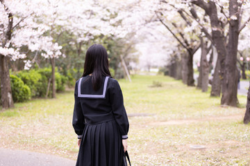 桜と女子学生