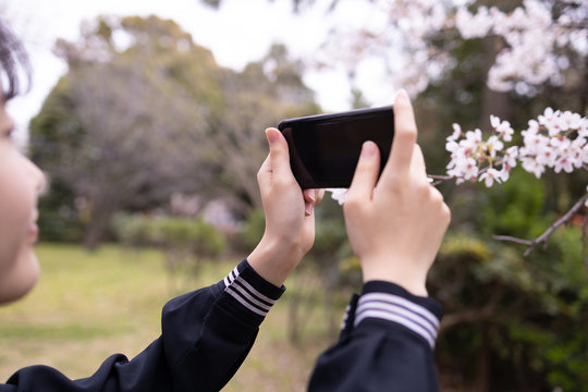 スマートフォンを操作する女子学生