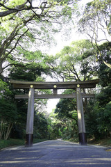 明治神宮　一の鳥居