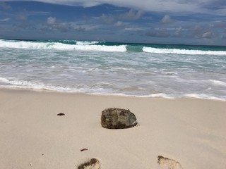 Plage des Seychelles. Océan indien. Une île paradisiaque. 