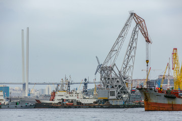 Fototapeta na wymiar Vladivostok Industrial Marine Facade. Cargo cranes in the trading port of a large sea city. Commercial cargo ships stand in port against the background of tall cranes.