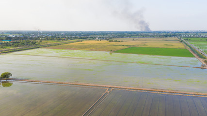 aerial view from flying drone of Field rice with landscape green pattern nature background, top view field rice
