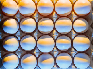 eggs carton or box showing shape,light and shadow patterns