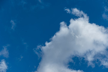 Fototapeta na wymiar Clouds and blue sky #29