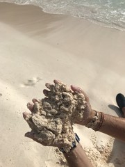 Plage des Seychelles. Oc&eacute;an indien. Une &icirc;le paradisiaque. 