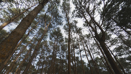 C:\DCIM\101GOPRO\GOPR0763.GPR