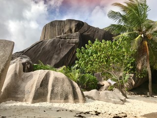 Plage des Seychelles. Oc&eacute;an indien. Une &icirc;le paradisiaque. 